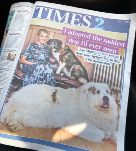 Jojo Moyes, Author and her adopted dogs, Times2 supplement, ©BronacMcNeill